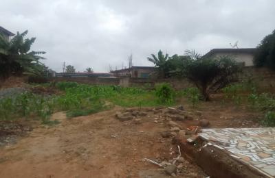 1/2plot of land@ chantan