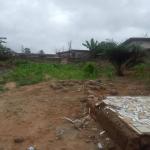 1/2plot of land@ chantan