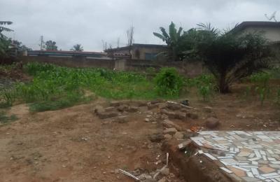 1/2plot of land@ chantan