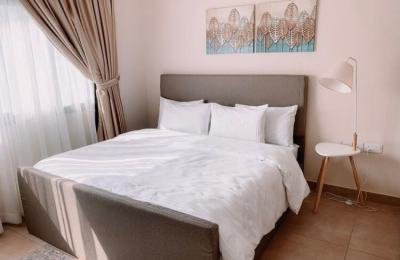 Serviced 2Bpedroom furnished apaprtment
