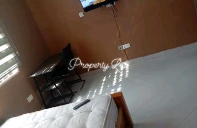 Serviced furnished 3Bedroom aparrment@ Tantra hill