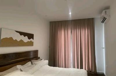Luxurous 2/3Bedroom townhouse@ Cantonment