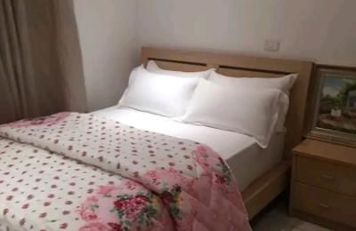 Furnished 2Bedroom apartment@ Airport