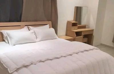 Furnished 2Bedroom apartment@ Airport