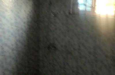 Chamber and Hall@ Tesano
