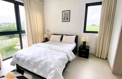 Luxurous fully furnished 2 Bedroom apartment@ cantonmeny