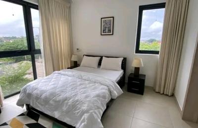 Luxurous fully furnished 2 Bedroom apartment@ cantonmeny