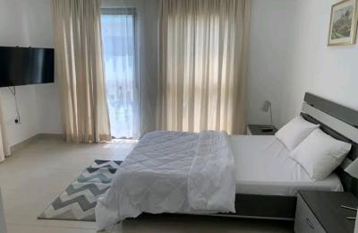 Luxurous fully furnished 2 Bedroom apartment@ cantonmeny