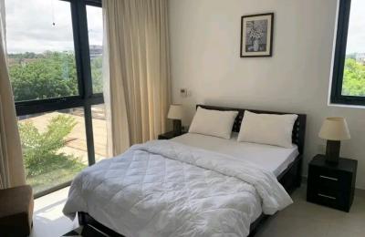 Luxurous fully furnished 2 Bedroom apartment@ cantonmeny