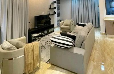 Fully furnished 2Bedroom Apartment@ Adjringanor