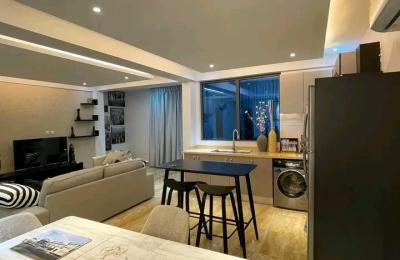 Fully furnished 2Bedroom Apartment@ Adjringanor
