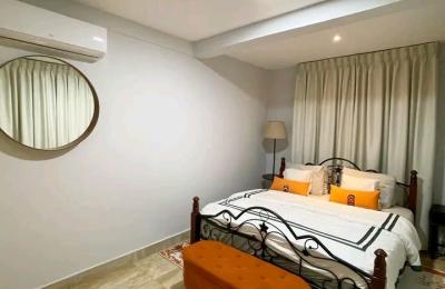 Fully furnished 2Bedroom Apartment@ Adjringanor