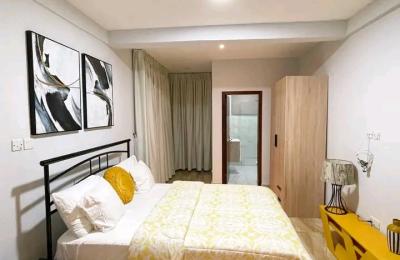 Fully furnished 2Bedroom Apartment@ Adjringanor