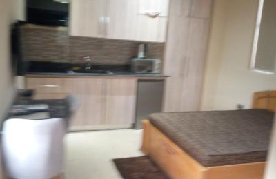 Furnished 1 Bedroom Apartment@ tseaddo
