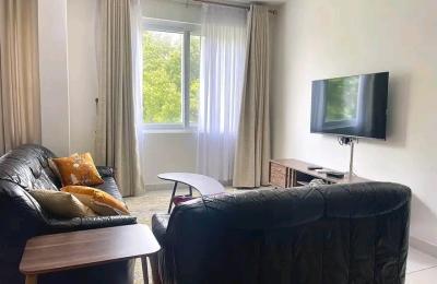 Furnished 2bedroom Apartment@ cantonment