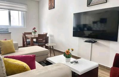 Furnished 2bedroom Apartment@ cantonment