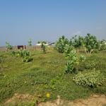 DISCOUNT PROMO DEALS ON GATED COMMUNITY LANDS AT TSOPOLI ZION CITY RESIDENCE