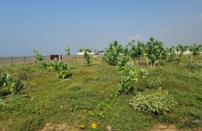 CHOOSE A PLOT PLUS FREE GENUINE INCENTIVES - PRAMPRAM BEACH LANE
