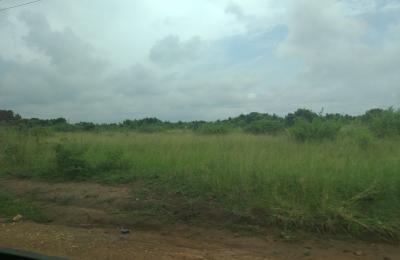SUPER BLACK FRIDAY SALES ON LANDS AT DAHWENYA ZION CITY