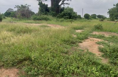 SUPER BLACK FRIDAY SALES ON LANDS AT DAHWENYA ZION CITY