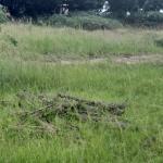 REST ASSURED DISCOUNT PACKAGES ON LANDS AT DAHWENYA ZION CITY
