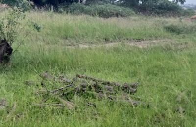 URGENT CERTIFIED GATED RESIDENCE LANDS @ PRAMPRAM ZION CITY.