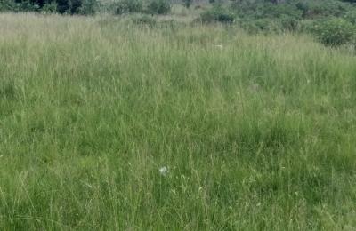 POTABLE ESTATE LOCATION PLOTS - PRAMPRAM BEACH LANE