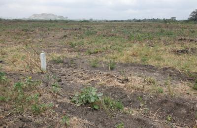 EXCLUSIVE DISCOUNT PROMO ON PLOTS - DAHWENYA