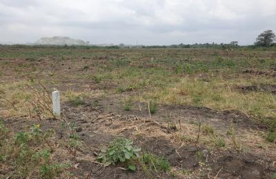 EXCLUSIVE DISCOUNT PROMO ON PLOTS - DAHWENYA