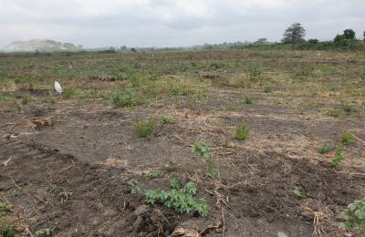 EXCLUSIVE DISCOUNT PROMO ON PLOTS - DAHWENYA