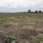 EXCLUSIVE DISCOUNT PROMO ON PLOTS - DAHWENYA