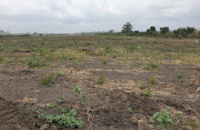 EXCLUSIVE DISCOUNT PROMO ON PLOTS - DAHWENYA