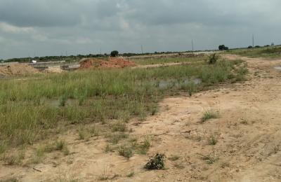 MEGA SERVICED PLOTS AT DAHWENYA