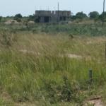 MEGA SERVICED PLOTS AT DAHWENYA