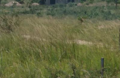 MEGA SERVICED PLOTS AT DAHWENYA
