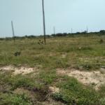 MEGA SERVICED PLOTS AT DAHWENYA