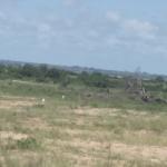 HALF PLOT [ PRICE REDUCTION PROMO] AT PRAMPRAM BEACH LANE