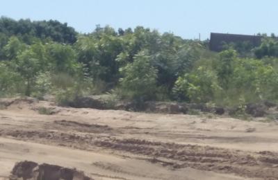 PEACE OF MIND ESTATE LANDS @ DAHWENYA B5