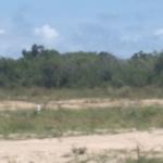 HALF PLOT [ PRICE REDUCTION PROMO] AT PRAMPRAM BEACH LANE