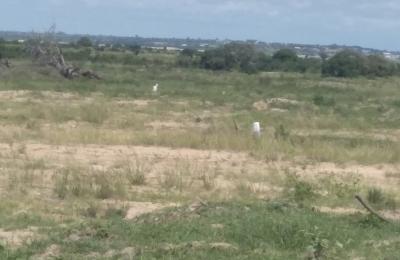 LANDS FULLY REGISTERED @ DAHWENYA
