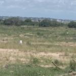 HALF PLOT [ PRICE REDUCTION PROMO] AT PRAMPRAM BEACH LANE
