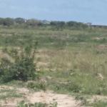 PEACE OF MIND ESTATE LANDS @ DAHWENYA B5