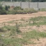 SERENE HALF PLOT LOCATION @ DAHWENYA ZION CITY