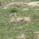 SERENE HALF PLOT LOCATION @ DAHWENYA ZION CITY