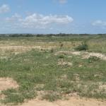 SERENE HALF PLOT LOCATION @ DAHWENYA ZION CITY