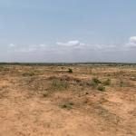 GENUINE CERTIFICATE ON LANDS - TEMA COMMUNITY 25 DEVTRACO