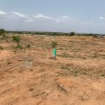 DULY TITLED ESTATE PLOTS @ TSOPOLI ZION CITY