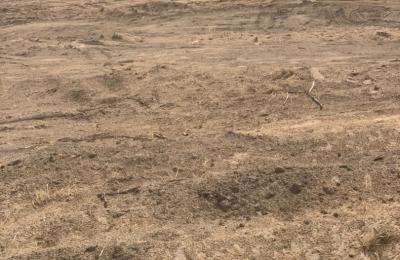 LEGITIMATE HALF PLOT @ TSOPOLI ZION CITY