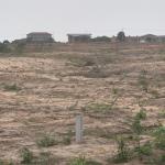 SERENE DEVELOPING AREA PLOTS @ PRAMPRAM BEACH LANE