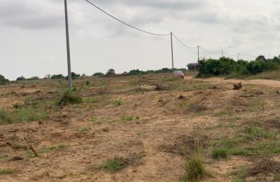 LEGITIMATE HALF PLOT @ TSOPOLI ZION CITY